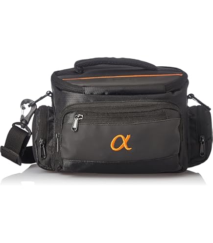 Amazon.in: Buy Sony CKL-NWZX700 Genuine Walkman Accessory NW